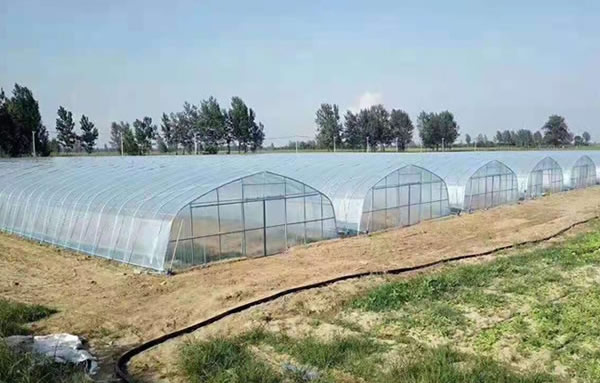 云顶集团·(中国区)最新官方网站