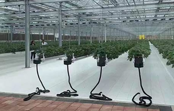 云顶集团·(中国区)最新官方网站