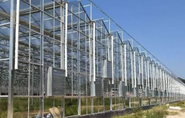 云顶集团·(中国区)最新官方网站