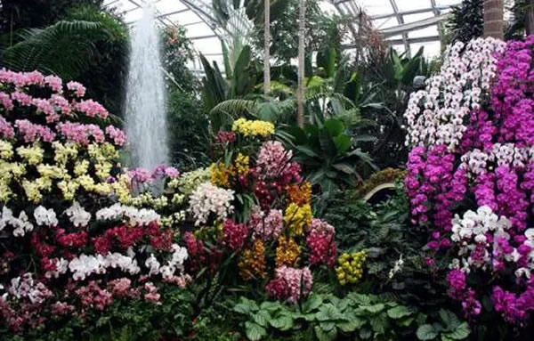 云顶集团·(中国区)最新官方网站