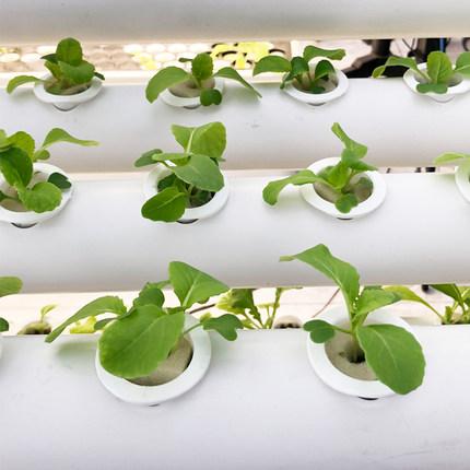 云顶集团·(中国区)最新官方网站